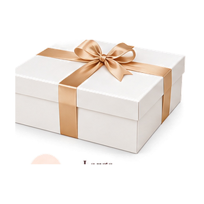 Large Gift Boxes